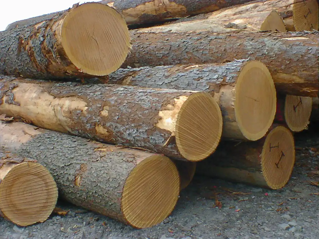 Edged Oak Lumbers Oak Timber / Lumber / Wood / Sawn boards for sale in bulk for sale