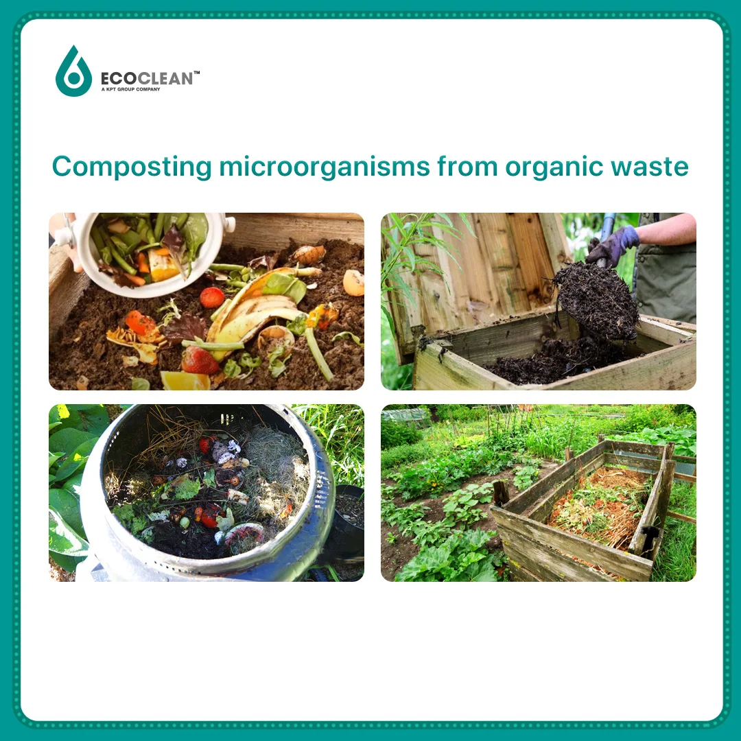 Микробиология очистки сточных вод в промышленных зонах Ecoclean 501 для компостирования по оптовой цене