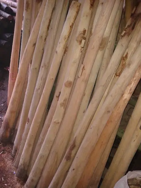 Wooden Long Didgeridoo are made of teak wood or eucalyptus wood made in Bali Indonesia original this music instrument