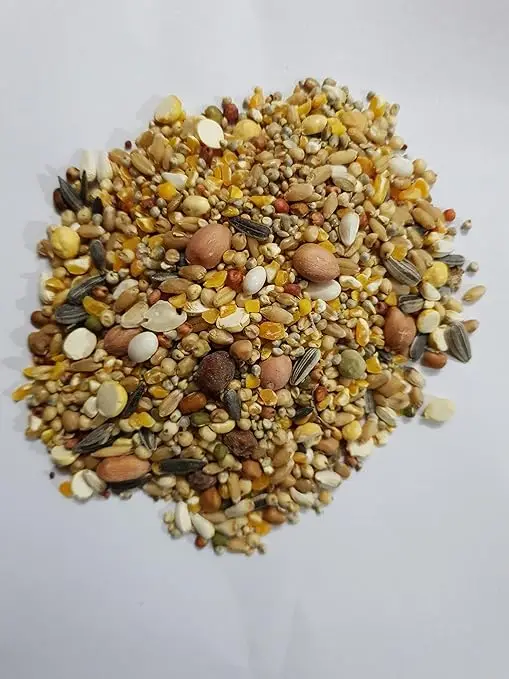 Чистые и лучшие сорта зерновых сбалансированные продукты для молодых голубей корм птиц от прямого экспортера продавца