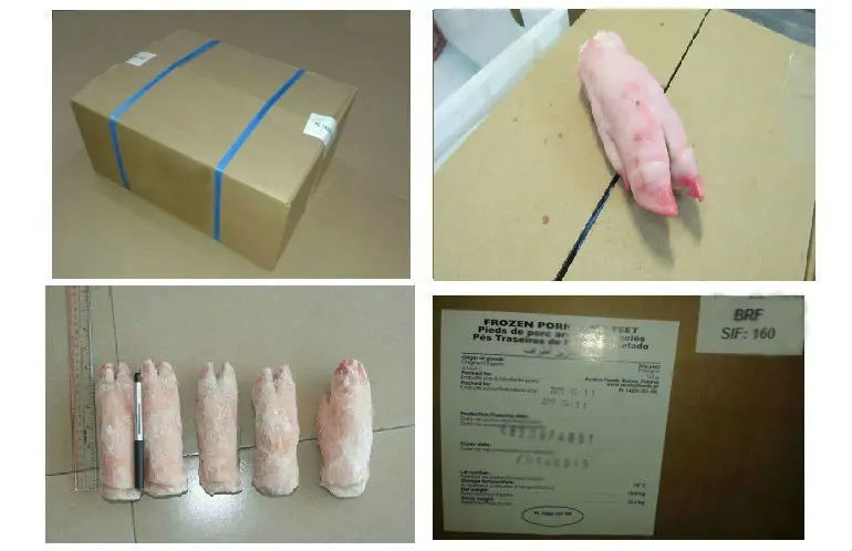 HIGH QUALITY FROZEN PORK / PIG FEET / LEG / MEAT BRAZIL ORIGIN Available for Shipment