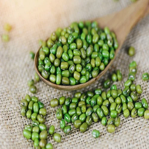 High Quality Green Mung Beans for Sell