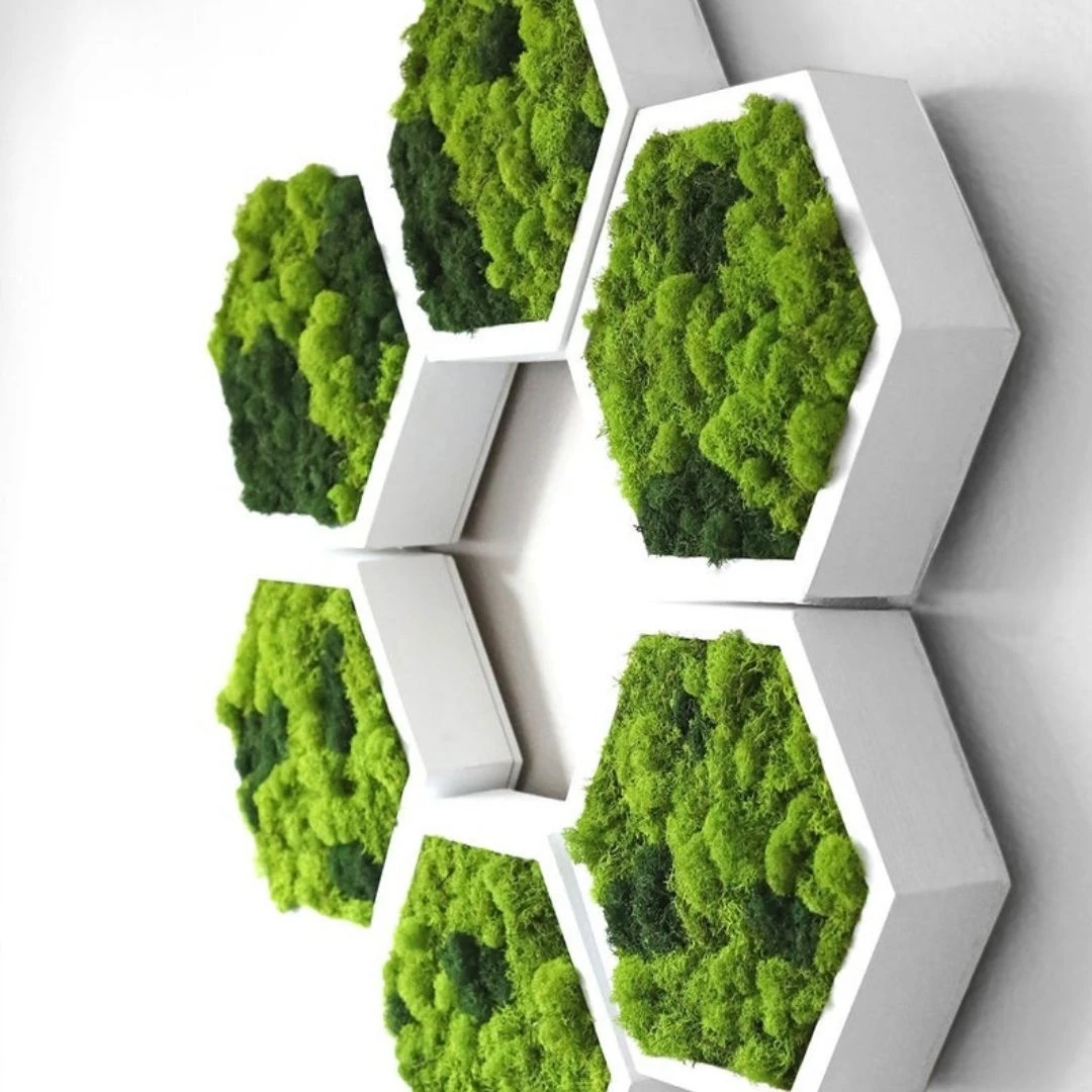 Luxury Home wall Honeycomb Shelf multi unit Set Shelf office decoration office hotel decor