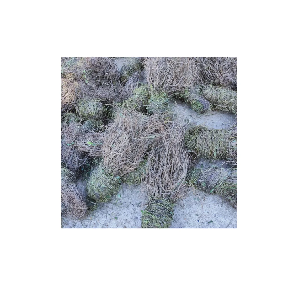 Premium Grade Of Abrus Rosary Pea RL Supply Brand Quality Product From Thailand Manufacture Export Large Market