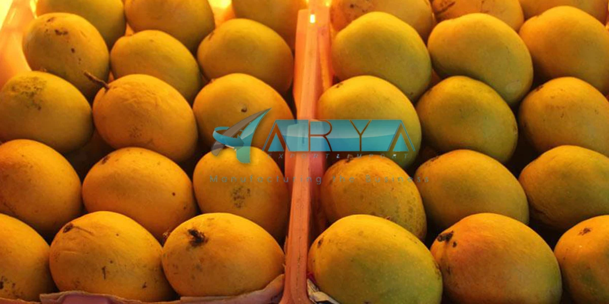 Fresh Alphonse Mango