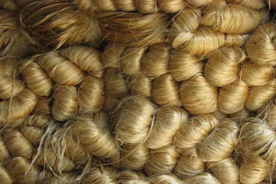 Best Quality Direct Factory Supply High Grade & Low Price 100% Natural Raw Jute Color Moisture Raw Jute Fiber From Bangladesh