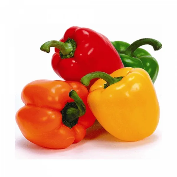 FRESH CAPSICUM Organic Sweet Bell Pepper Yellow Green Red Pepper