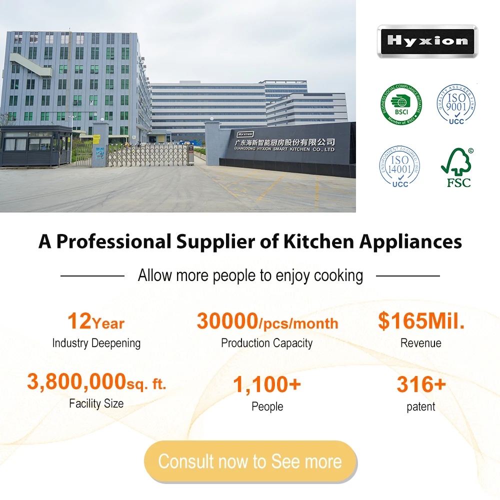 Hyxion or standard wholesale price cooker hood kitchen