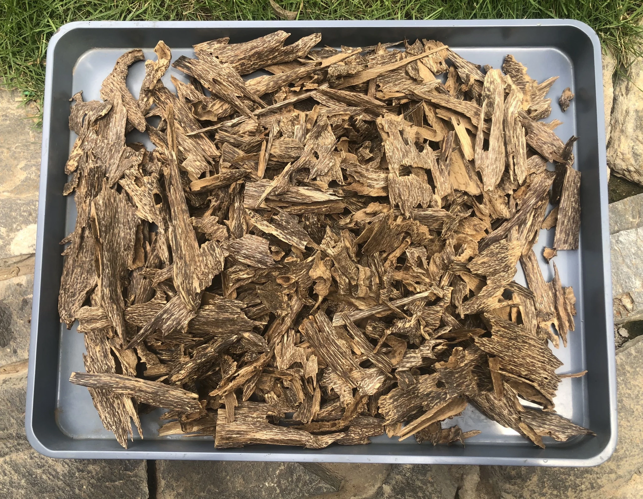 Vietnamese Pure Agarwood Oud Chenxiang Kynam Bakhoor Incense Stick Oudh Incense Coil in NhaTrang Ha Tinh Quang Nam