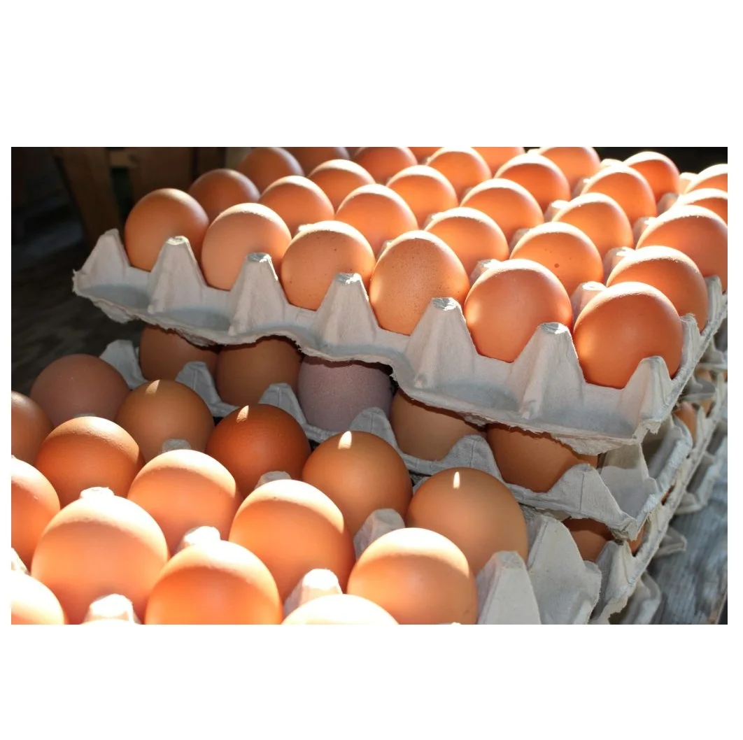 Fresh White and brown table eggs