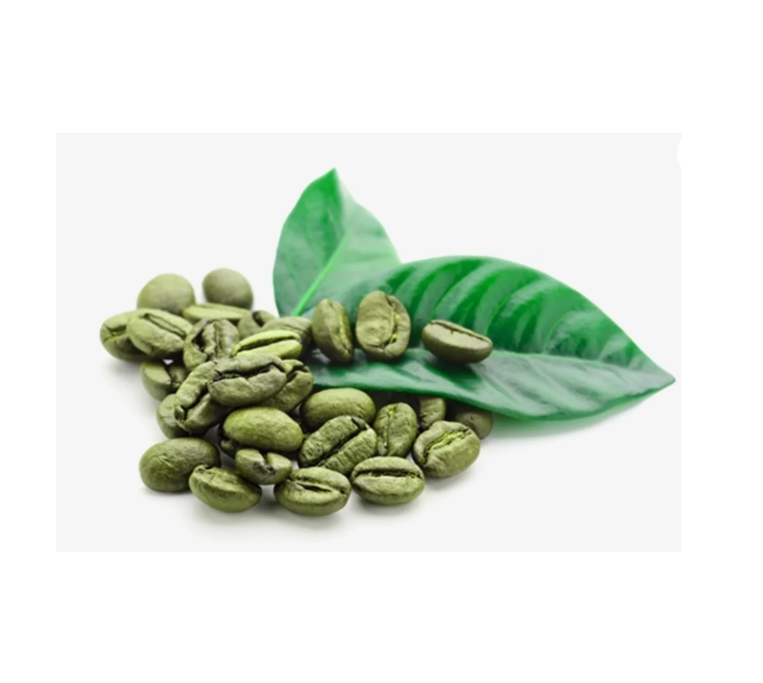 Buy Bulk Arabica Green Coffee Beans at Unbeatable Prices Perfect for Coffee Lovers and Home Roasters Order Now for Best Deals