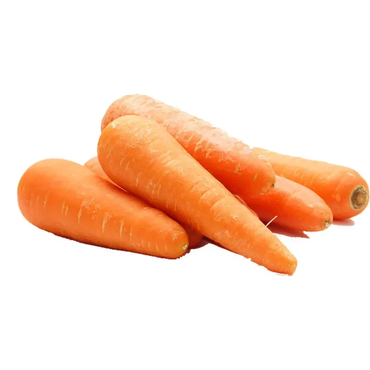 Cheap Vegetables Fresh Carrots Seed For Wholesale Export