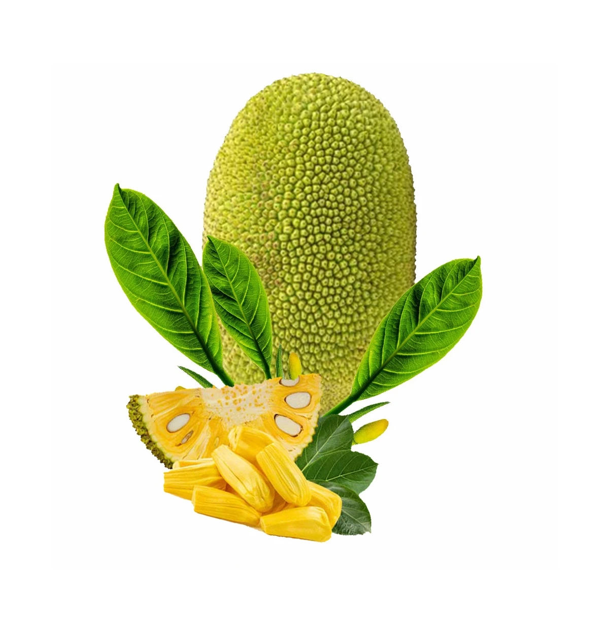 International Quality Tropical Fruit Sweet Good Taste Fresh Jackfruit 100% Organic Natural Yellow Color Ready To Ship