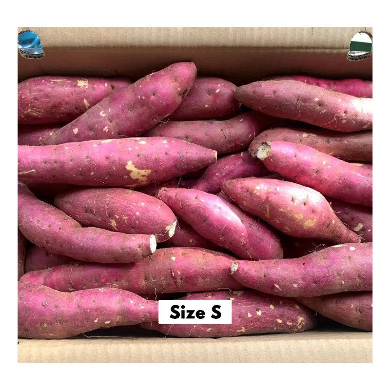 Top Quality Frozen Fresh Sweet Potato - Honey/Japanese Sweet Potatoes For Export - Frozen Vegetables Vietnam
