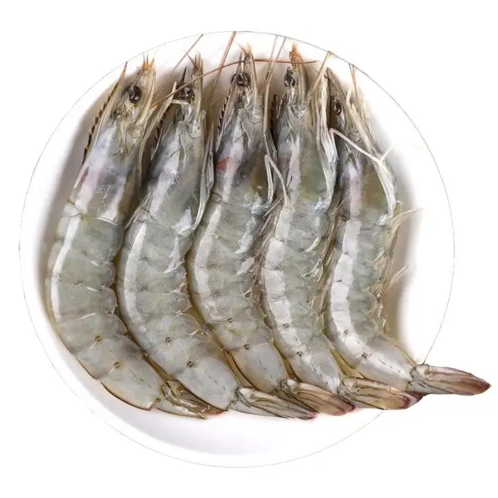 Wholesale Frozen Prawns & Seafood Ready for Export