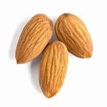 Bulk Almonds Natural No Additive Almond Nuts Roasted Almonds Wholesale