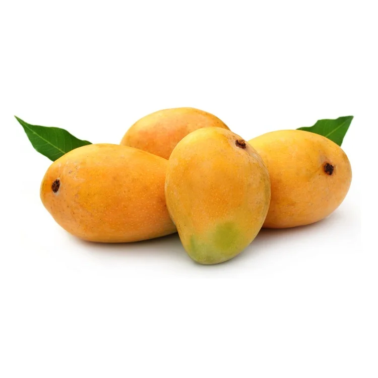 Top Selling Pakistani Fresh Mangoes at Cheap Price