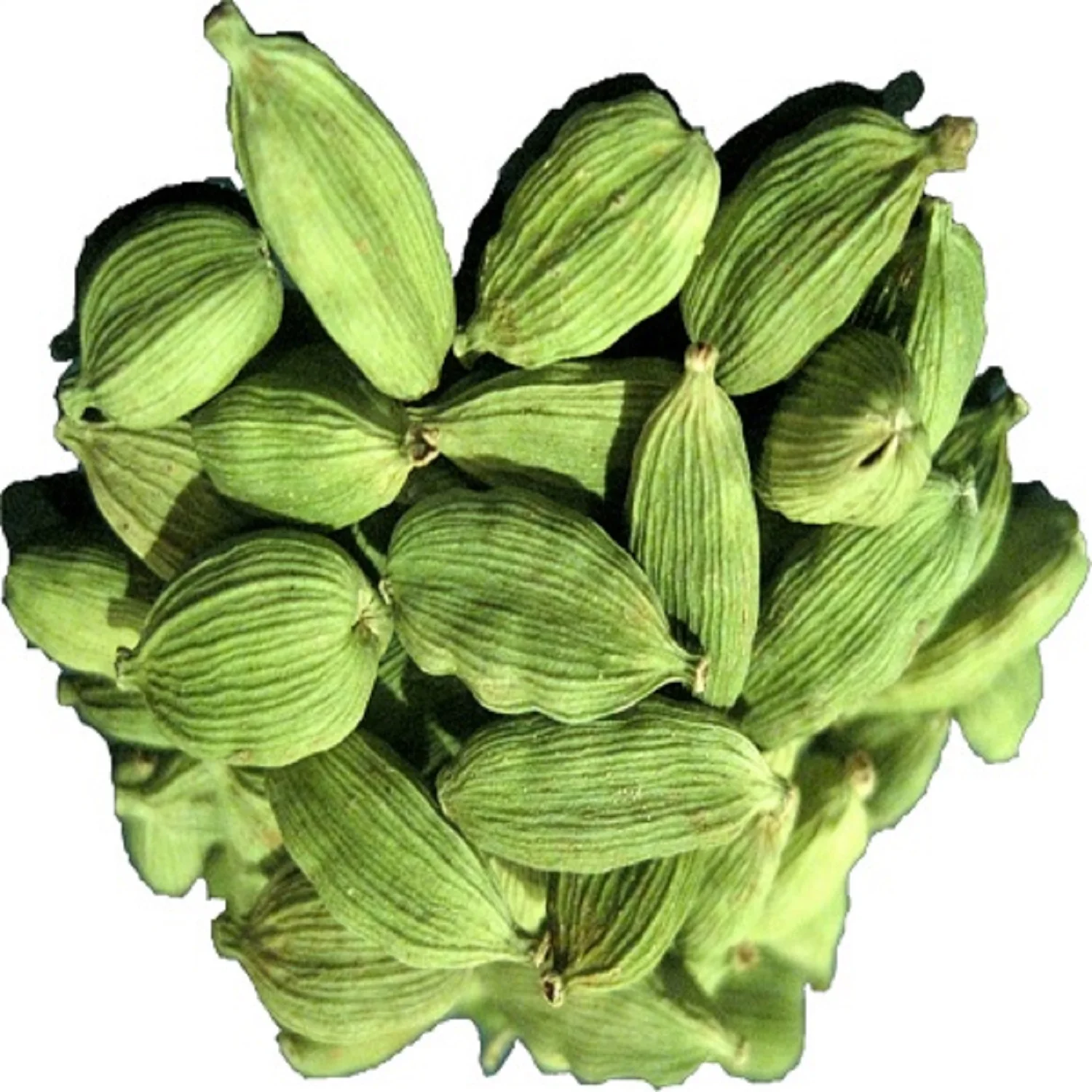 Wholesale Cardamom Green High Quality Cardamom Factory Price Dried Green Cardamon