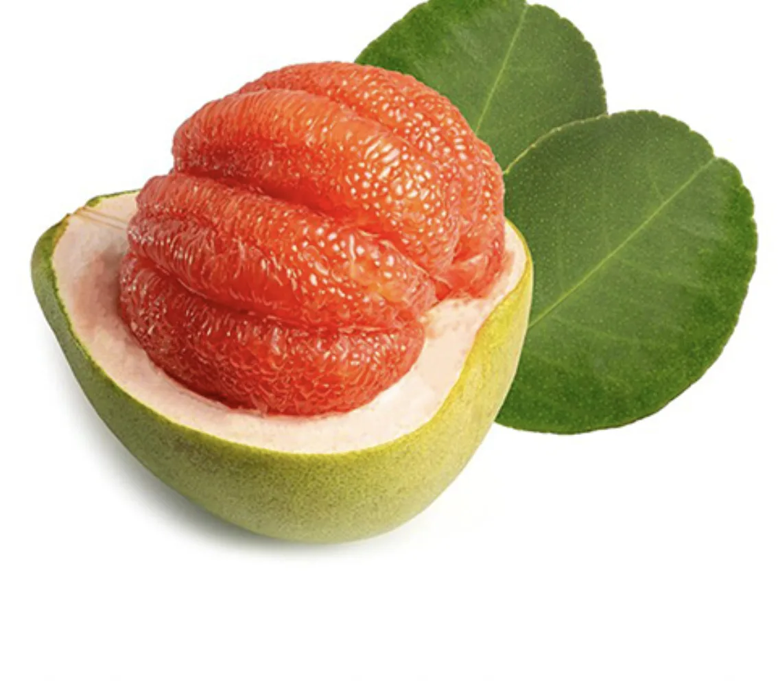 Fresh Fruit 1-1.8 kg/pcs Fresh Citrus Fruit Green skin pomelo grapefruit With pink flesh Brix 10 - 13% In Vietnam
