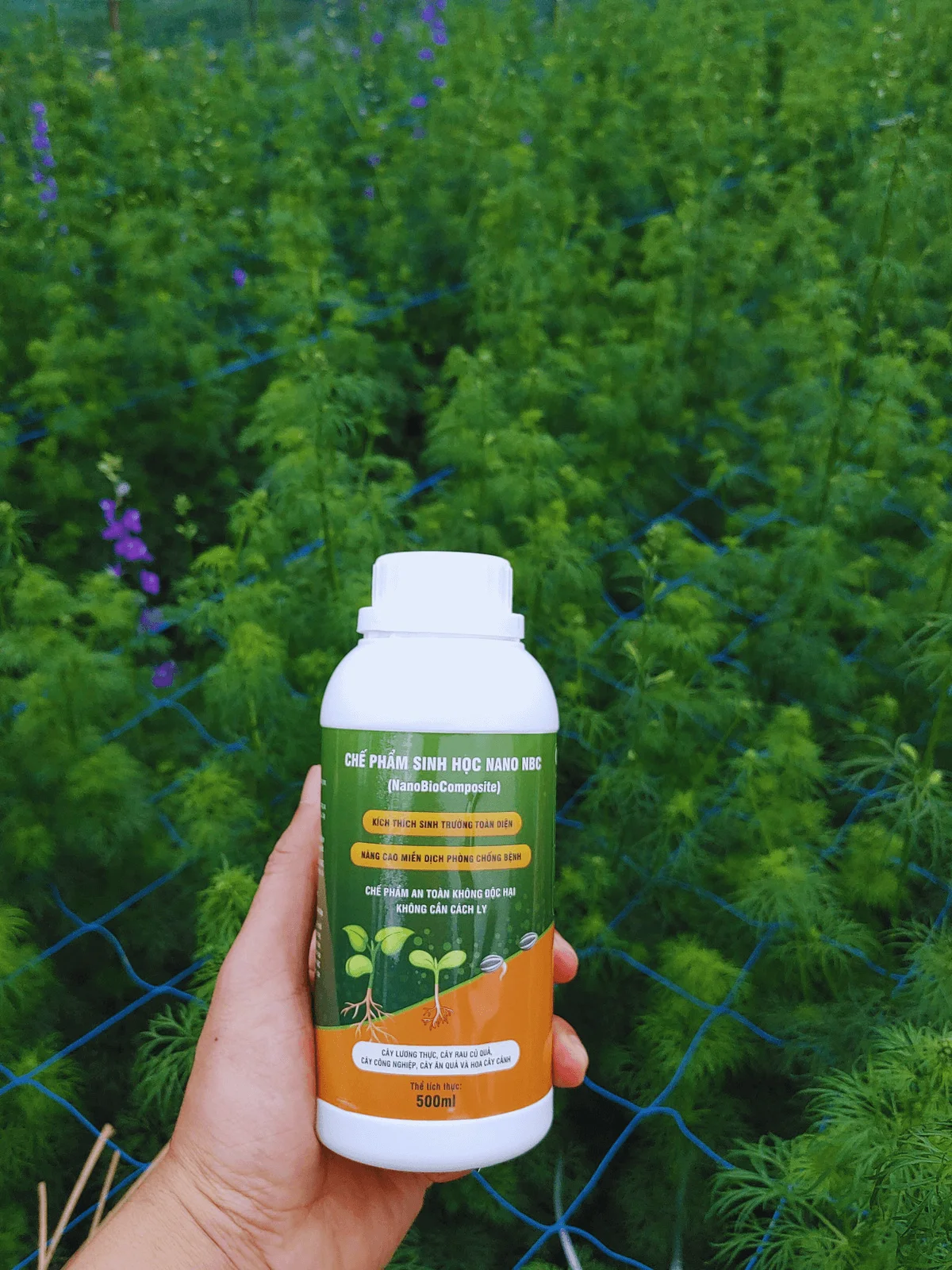 Nano Composite High Quality Purity Agriculture Biological Fertilizer Customized Packing