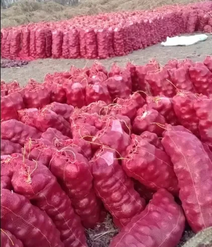 Fresh Red Onions New Harvest Wholesale Seasoned Foods spices big onions Top Grade