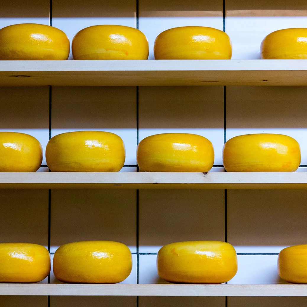 Голландские голландские товары Премиум-Качества Emmental cheese Holland