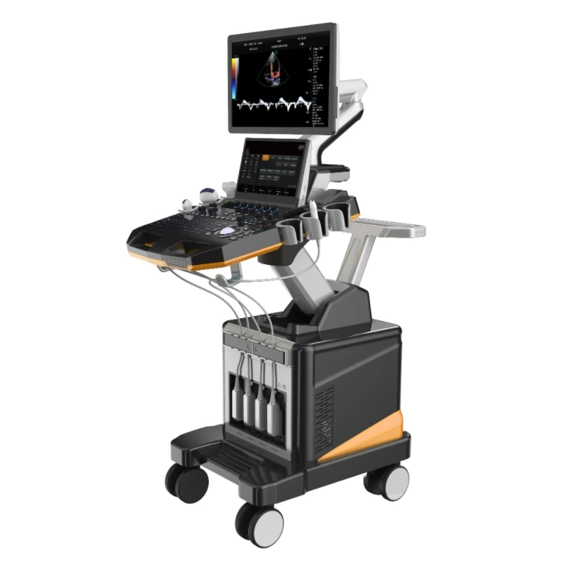 DW-T60 Dawei Ultrasound Machine Color Doppler/3d 4 d Ultrasound Machine Human for Ultrasound Diagnostic