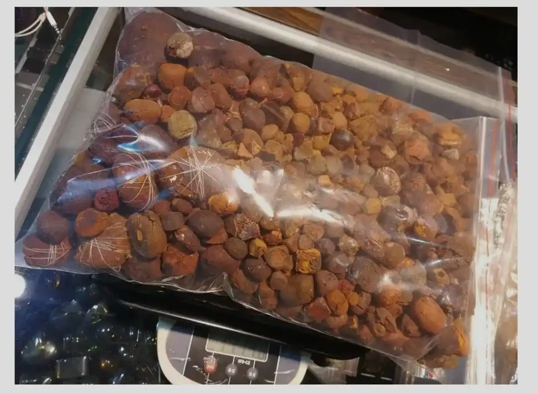 Cow Gallstones qwy.jpg