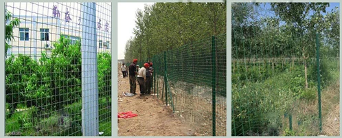 3d Wire Mesh Fence Fence 3d Metal Fence Panels For Sale