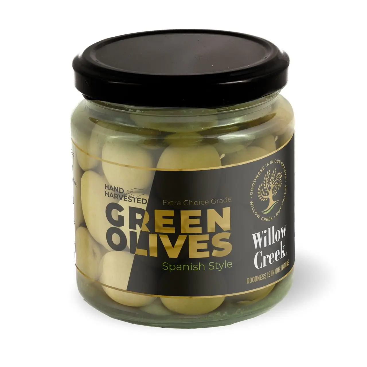 BEST FRESH OLIVE FRUITS