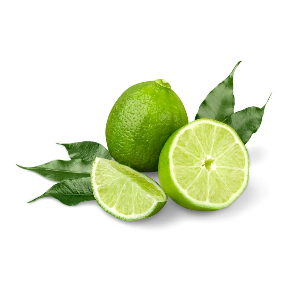 Wholesale Fresh Lime From Vietnam High Quality Fresh Seedless Lime Ready To Ship For Export Green Seedless Lime