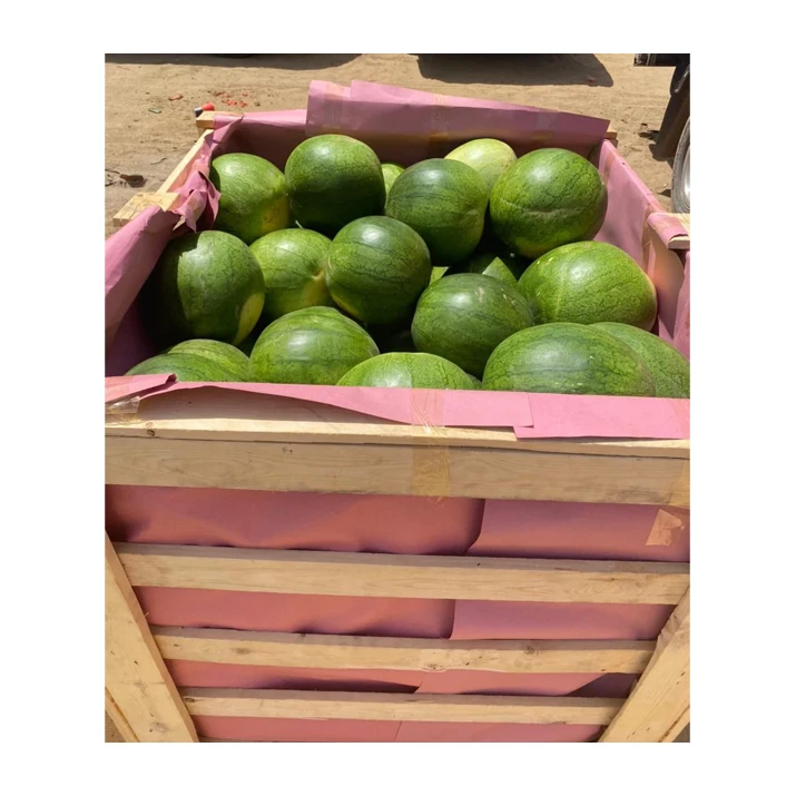 Egypt Origin Supplier of Hot Selling 100% Natural Delicious Original Taste Seeds/ Seedless Watermelon at Wholesale Market Price