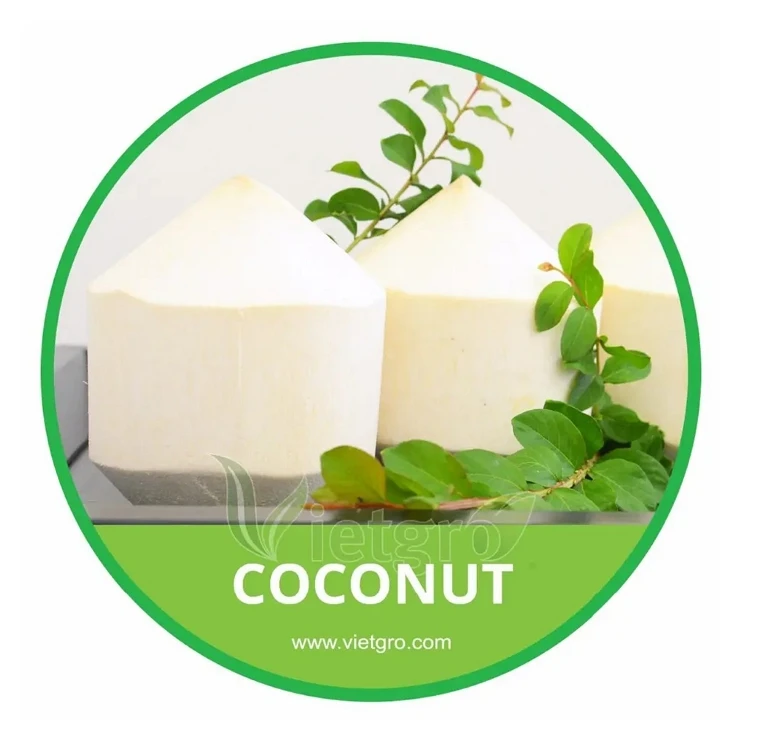 Высокое качество, Свежий Кокосовый сладкий водой, тропические фрукты от вьетнамского поставщика, Лидер продаж высшего класса