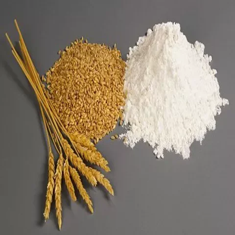 Wheat Flour