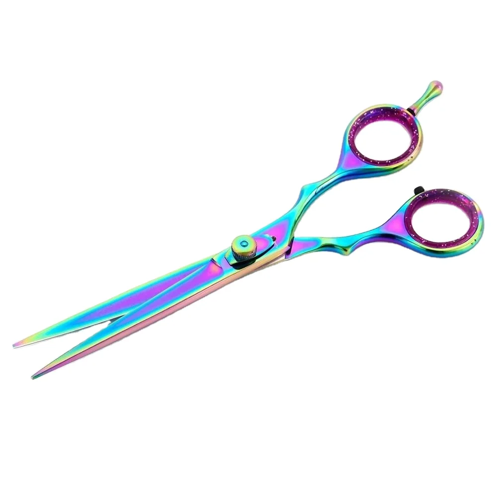 Professional Hairdressing Hair Scissors Mirror Polish Barber Salon Shears Stainless Steel Salon Scissor With Adjustable Screw