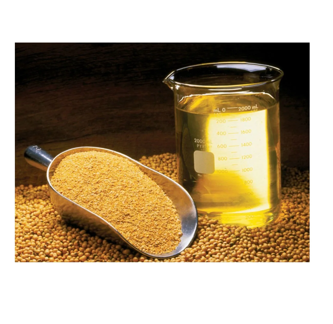 Soybean Oil in Wholesale price direct from Factory / Refined Soybean Oil / Crude Soybean Oil Soybean Oil Bulk Packaging