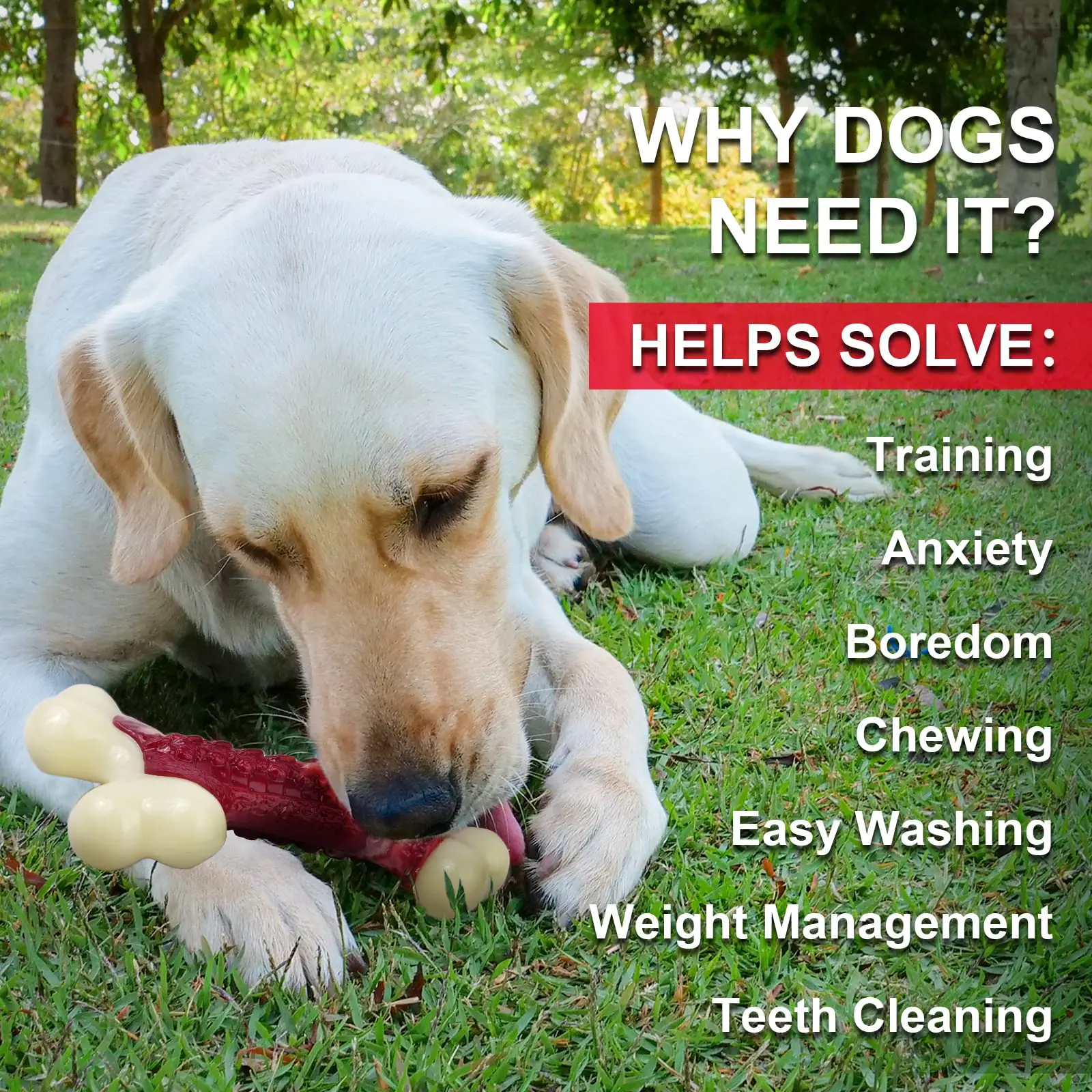 Tough dog toys for aggressive chewers Dog bones made of nylon and rubber Medium-sized puppy chew toys Teething chew toys