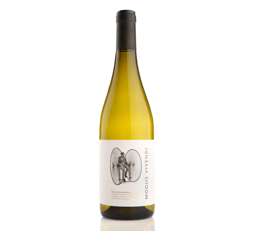 White Sparkling wine from Spain Modus Vivendi Ribeiro 2021 750ml | DO Ribeiro | High quality | Vina Costeira