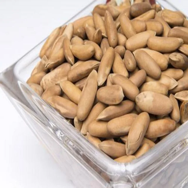 Fresh Pine Nuts New Crops 2022 Wholesale Price Bulk