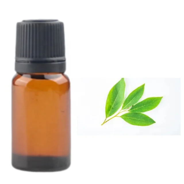 Buy LITSEA CUBEBA HYDROSOL at Wholesale price  from india largest manufacture kanha nature oils