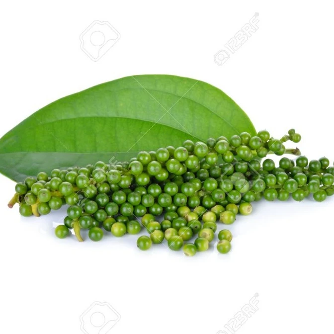 Green pepper high quality freeze pepper with best price