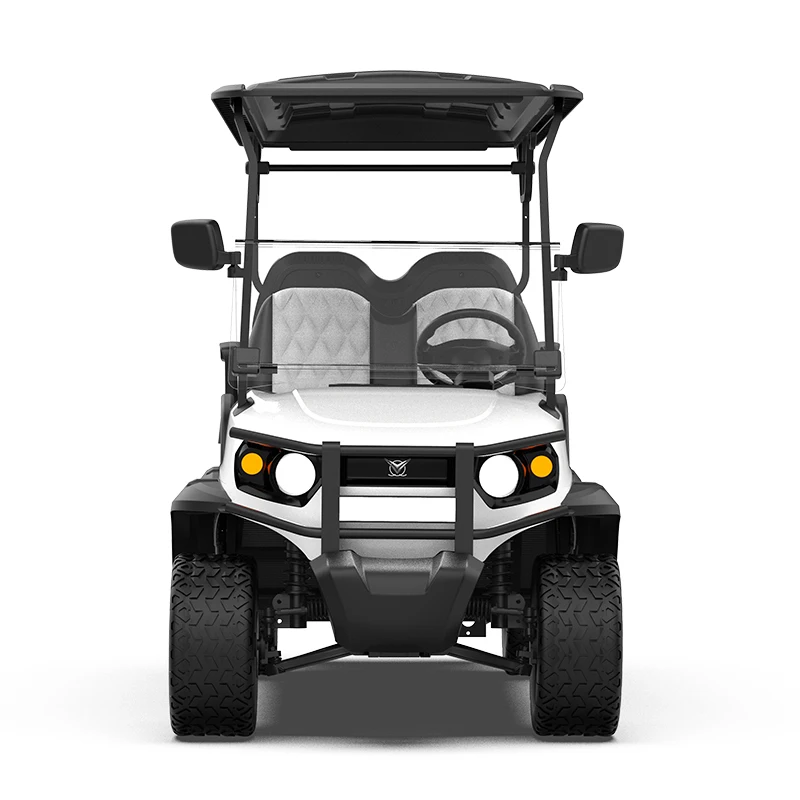 Wholesale 2 4 6 Seater Electric Golf Carts ODM Service for Exclusive Brand Agent with Curtis Controller Golf Carts