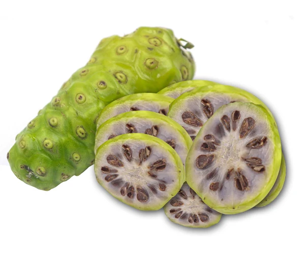 Frozen Noni Fruit Big Size/ Good Quality Frozen Noni Fruit Ms Sophie