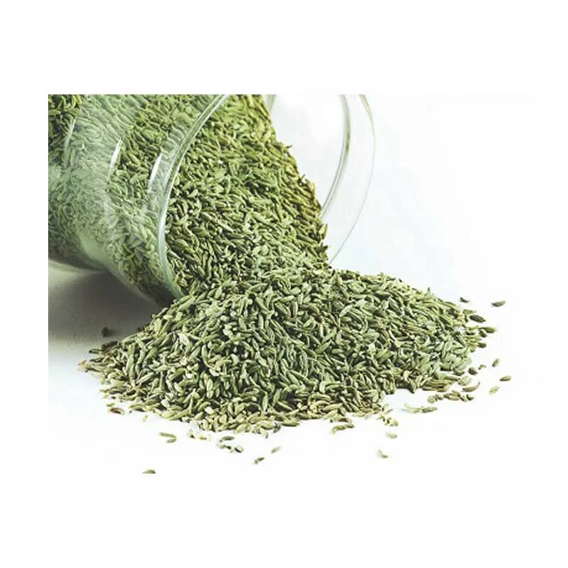 High quality Single Spices Seasoning fennel seed bulk quantities for worldwide importers and buyers