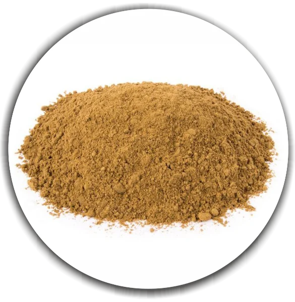 Dried Boletus edulis powder. High quality spices from wild natural mushrooms. Also know as Porcini, King Bolet and Cepa