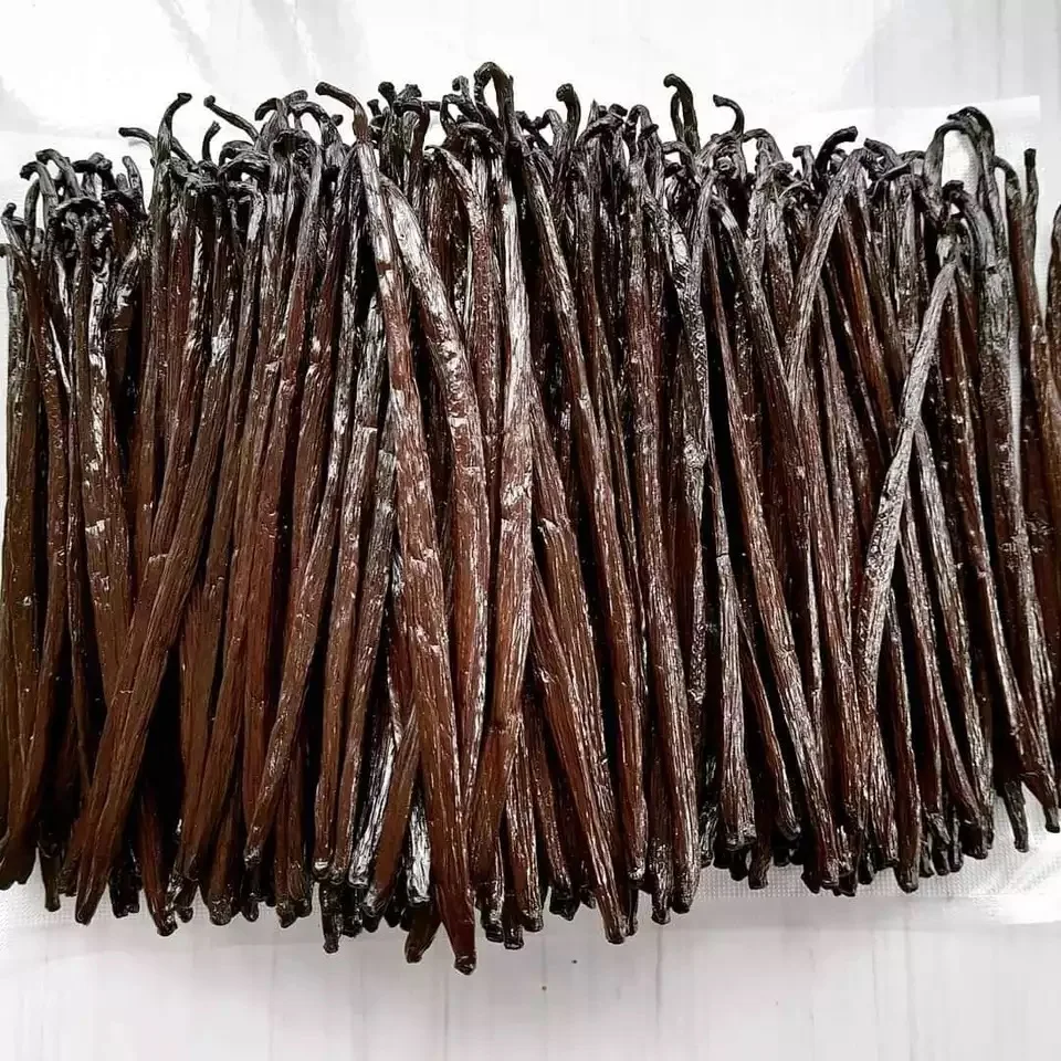 wholesale price for Madagascar vanilla beans available for sale