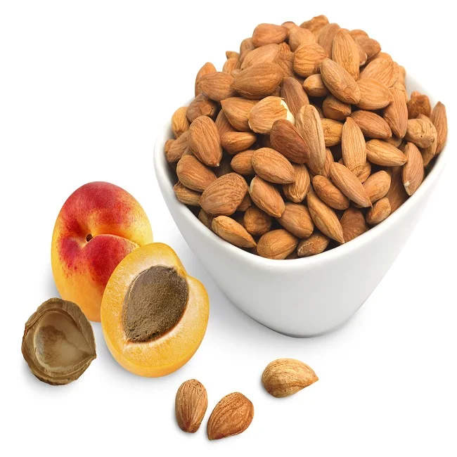 Cheap Price Fast Shipping Dried Apricot fresh apricot kernels Low Price