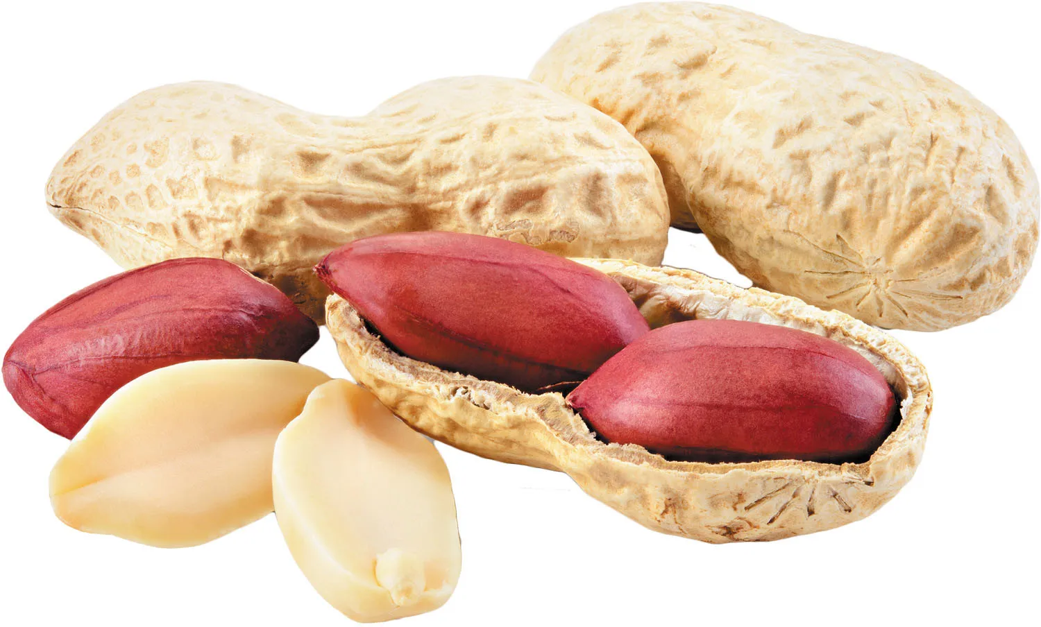 Замороженный Кошерный контейнер Iqf упаковка для хранения пищевых продуктов CIF полка оригинальный тип FOB сертификат цена на весь срок службы