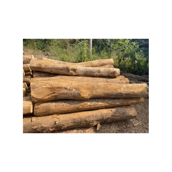Top Selling Natural Eucalyptus Wood Logs Diverse Types Including Oak Pine Timber Teak Round Pattern Birch Beech Cherry