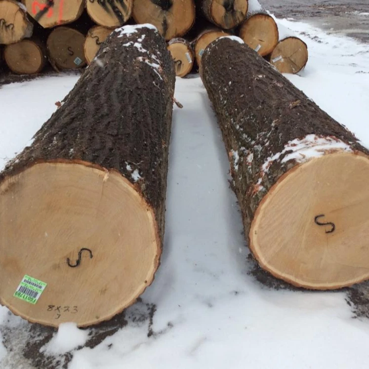 Pyinkado Wood Logs Original From Laos Cheap Price